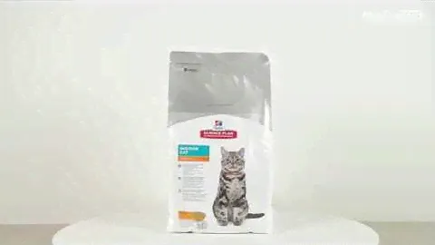 Обзор корма Hill's Science Plan для домашних кошек со вкусом курицы