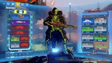 Borderlands® 3 / How to equip Gold Weapons and other DLC skins / Super Deluxe Edition