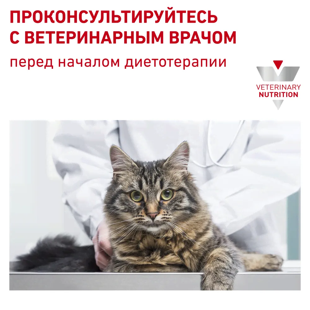 Royal Canin Skin & Coat сухой корм для кастрированных котов и кошек 1-7 лет с чувствительной кожей-0